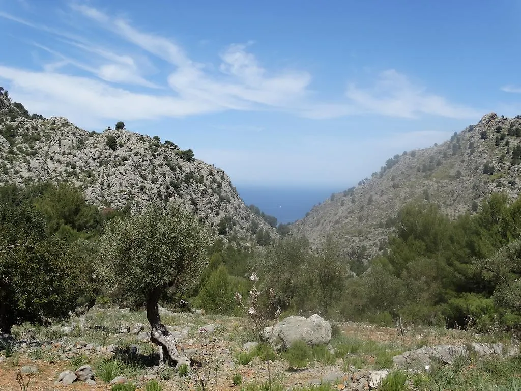 Agroturismo Balitx D'Avall Casa de hóspedes Fornalutx Espanha