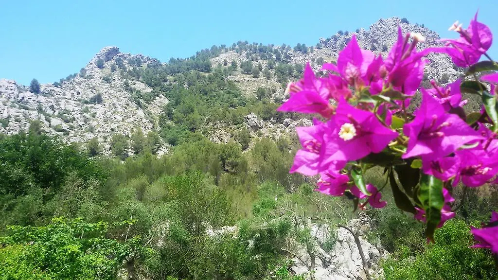 Agroturismo Balitx D'Avall Guest House Fornalutx